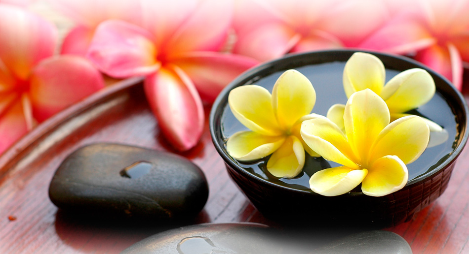 突破发展瓶颈的短信验证码轰炸免费